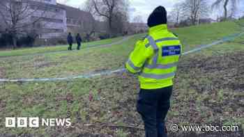 Man held on suspicion of rape is bailed