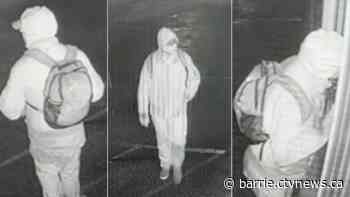 Suspects target cash registers in Angus smash-and-grabs