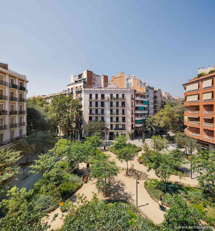 From Concrete to Green Canopies: Revitalizing Cities Through Natural Design