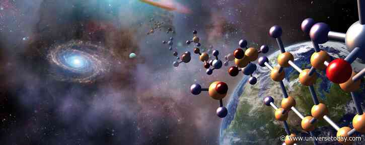 Is There a Fundamental Logic to Life?