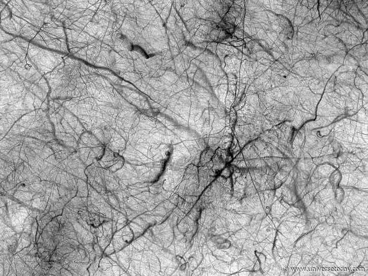 Crisscrossing Dust Devil Tracks Across the Surface of Mars