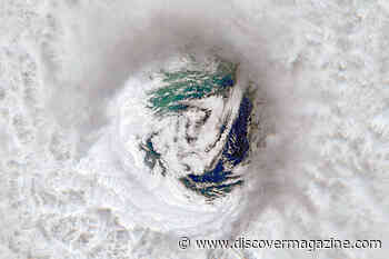 A Year on Planet Earth — Part 3