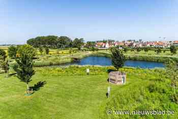 Knokke-Heist behaalt opnieuw topscore en blijft ‘Bijenvriendelijke gemeente’