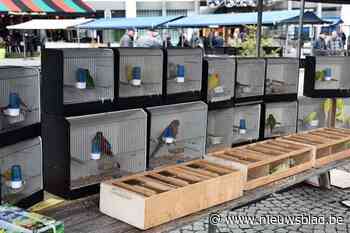Maandelijkse creahobby- en dierenbeurs van zaterdag 4 januari gaat niet door