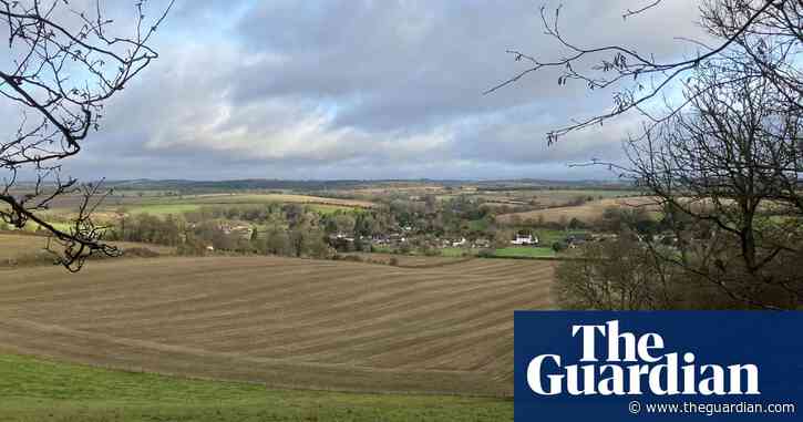 Country diary: Hoofing up the hill to a bluebell wood | Nicola Chester