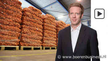 Is er nieuwe koopronde voor uien op komst?