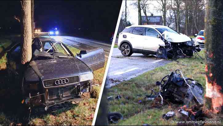 Noordoostpolder - Gladheid in Noordoostpolder, meerdere auto's rijden tegen boom
