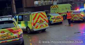 Person dies after being hit by train - services into London affected