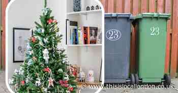 All the places to get your Christmas tree collected and recycled in 2025