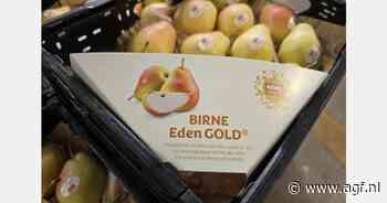Perentelers hopen goud te winnen met Eden Gold ras