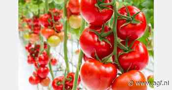 Voedselproducenten, en niet nagelstylisten, cruciaal in tijden van oorlogsdreiging