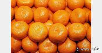 Europese mandarijnenmarkt lijdt onder hoge prijzen en laag aanbod