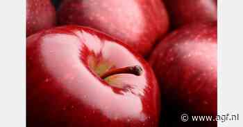 Fors gestegen loonkosten drukken rendement Duitse fruitbedrijven