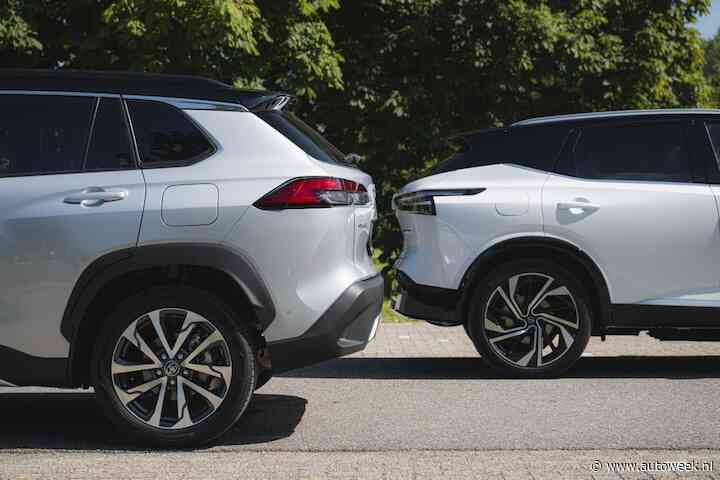 Het Nederlandse wagenpark werd in 2024 iets minder zwart, wit en grijs