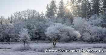 Cold blast brings freezing temperatures to Dorset