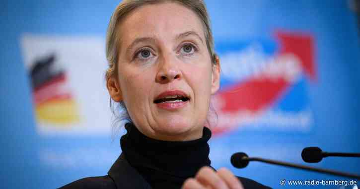 Live-Talk Weidel und Musk wohl am 9. Januar