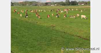 "Samenwerking veehouder en akkerbouwer maakt biologisch ondernemen makkelijker"
