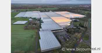 Jongerius Houten intensiveert samenwerking met de Herenboeren