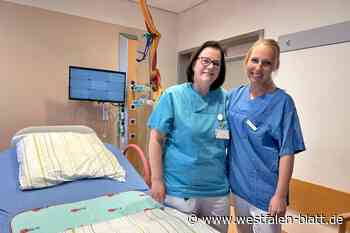 Emma und Noah führen das Rekordjahr an