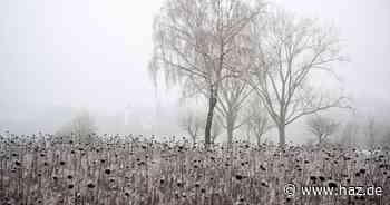 Schnee, Sturm und Frost: In Hannover wird es kalt zum Wochenende