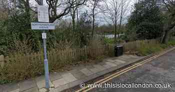 5G tower standing 20m high planned next to Wanstead Park