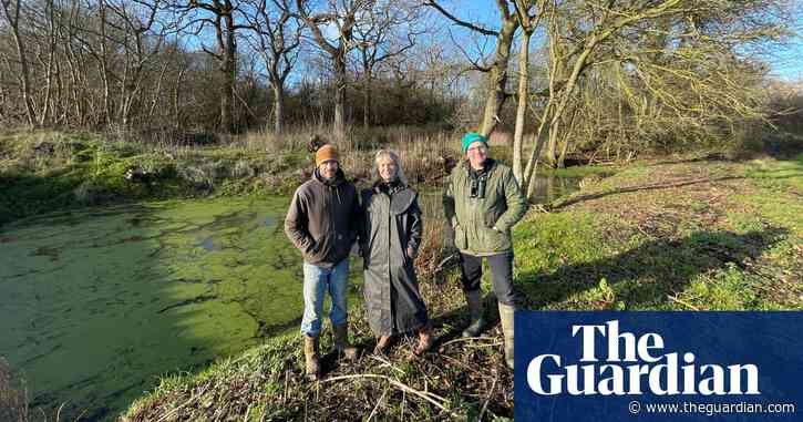 Back from the dead: the ‘zombie’ ponds repumping nature into Essex farmland