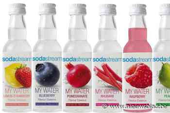 Tot zes maanden cel voor duo dat koolzuurcilinders stal om statiegeld te innen