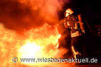 Mülltonne mit Feuerwerkskörper in Brand gesetzt