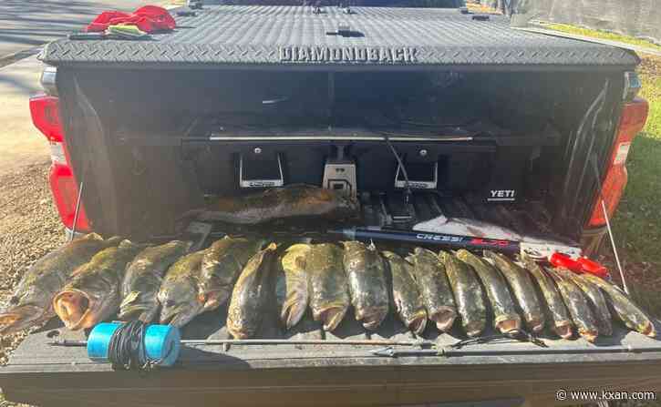 2 cited for alleged illegal fishing activity on Lady Bird Lake