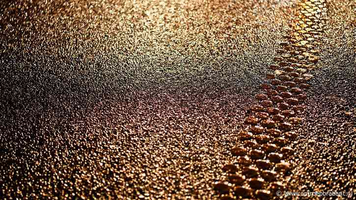 Gladde wegen: drukte op spoedeisende hulp en bij meldkamer politie