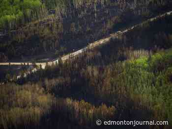 Canada primed for more severe wildfire days, driven by dry forest fuel: study
