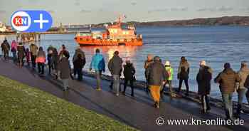 Delfin in Kiel: Mit großer Wahrscheinlichkeit ist es „Delle“