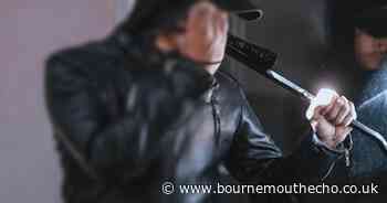 Spike in business break-ins across Branksome