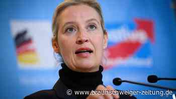 AfD-Chefin Weidel bestätigt Gespräch mit Elon Musk auf „X“