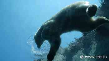 Assiniboine Park Zoo, The Leaf's biomes to close for maintenance in January