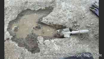 Forscher entdecken 200 Dinosaurierspuren in Großbritannien