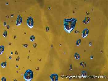 Photo Gallery: Best pictures for week ending Jan. 2