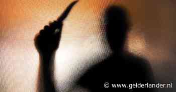 Seriemoordenaar in Nederland uiterst zeldzaam: criminoloog ontkracht mythes