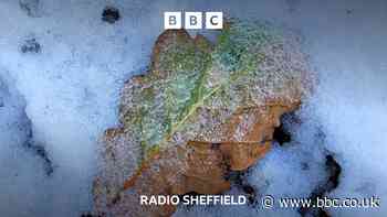 Will South Yorkshire be blasted with snow again?