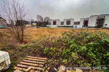 Die prominenteste Baulücke der City: Was soll hier denn nun entstehen?