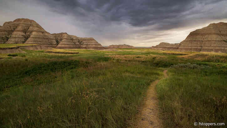 Five Truths Every Beginner Photographer Should Know (That I Learned the Hard Way)