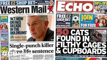 One-punch killer jailed and 50 cats found in filth
