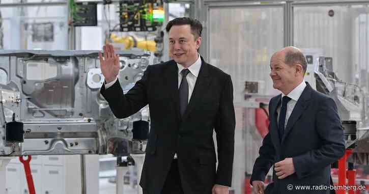 Scholz zu Attacken von Musk: «Cool bleiben»