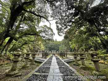 Homestay in rural Japan a unique cultural experience