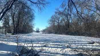 Manitoba Habitat Conservancy makes $5.25M offer to buy Lemay Forest