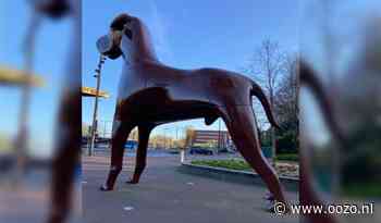 Lezingen over kunst in de openbare ruimte