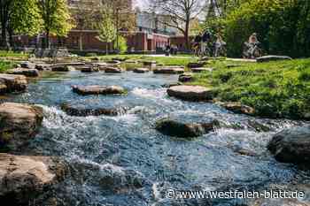 Bier in die Pader: Was 2025 alles geschieht