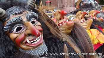 Fasnet beginnt: Diese närrischen Veranstaltungen stehen im Kreis Calw bevor