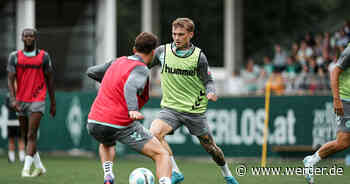 Von Marbella bis zur Europa League