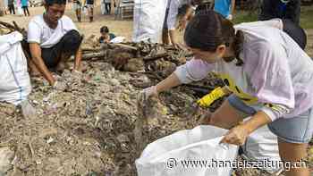 Hunderte Freiwillige sammeln tonnenweise Plastikmüll auf Bali